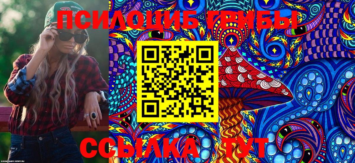 Галлюциногенные грибы Cubensis Гусев